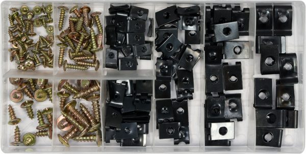 Auto instrumenti un iekārtas - 170 PCS BODYWORK NUTS&SCREWS ASSORTMENT (YT-06780)