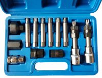 Auto instrumenti un iekārtas - Alternator Tool Set | 13 pcs. (XC8059)