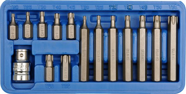 Auto instrumenti un iekārtas - Antgalių rinkinys 15 dalių TORX (66580)