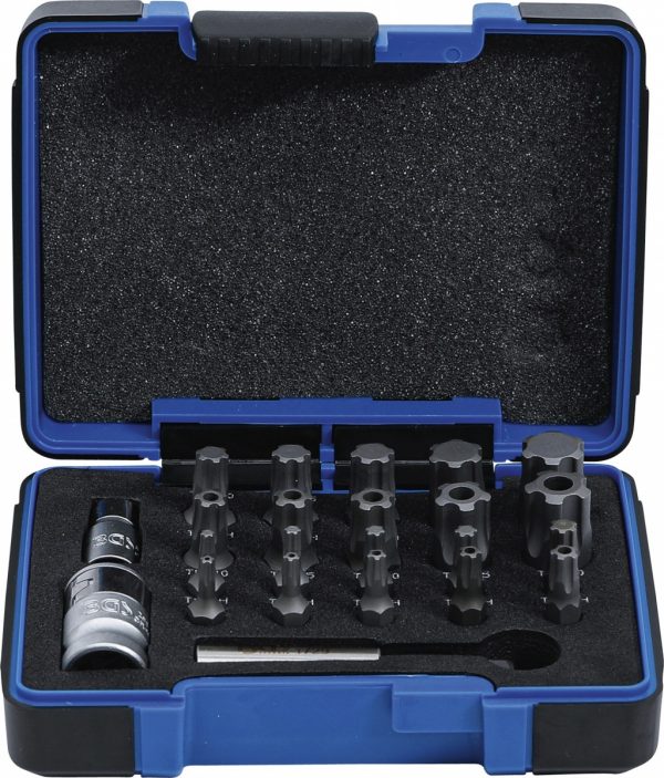 Auto instrumenti un iekārtas - Bit Set | TS Profile PLUS (for Torx Plus) | 23 pcs. (4993)