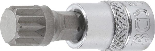 Auto instrumenti un iekārtas - Bit Socket | 6.3 mm (1/4") drive | Spline (for XZN) M10 (2506)