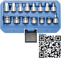 Auto instrumenti un iekārtas - Magnetic Sockets for Oil Drain Screws | 15 pcs. (2256)