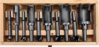 Auto instrumenti un iekārtas - Set of forstner drill bits and drill bits for knots | 15-35 mm | 10 pcs. (YT-33837)