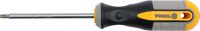 Auto instrumenti un iekārtas - TORX SCREWDRIVER T20x100 mm CRV (60887)